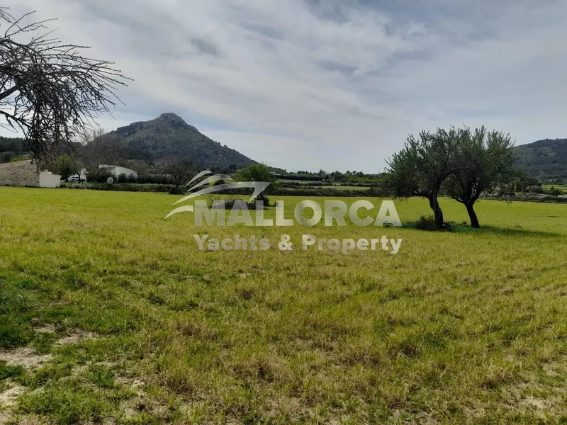 Diseminado Disseminat 5, 497, 07400 Alcúdia, Illes Balears, Spain, Alcudia, Balearic Islands, Spain. - Photo 15