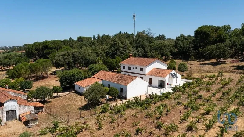 São Pedro de Tomar, Tomar, Santarém, Tomar, Tomar (Sao Joao Baptista) e Santa Maria dos Olivais, Santarem District, Portugal. - Photo 25
