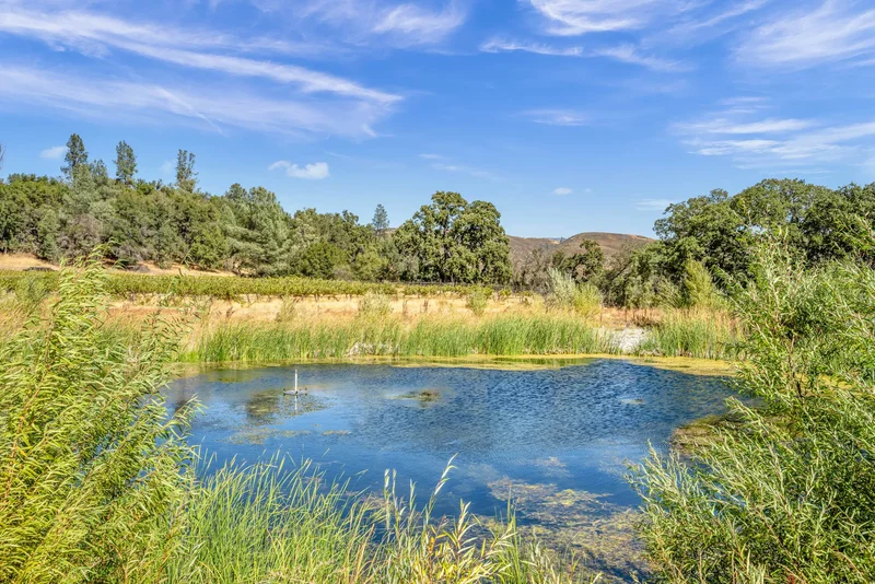 500 Old Long Valley Road , Clearlake Oaks, CA 95423, Clearlake Oaks, California, United States. - Photo 31
