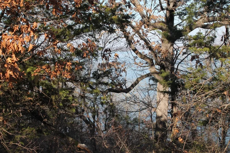 68 Zumwalt, Pottsboro, TX 75076, Pottsboro, Texas, United States. - Photo 13