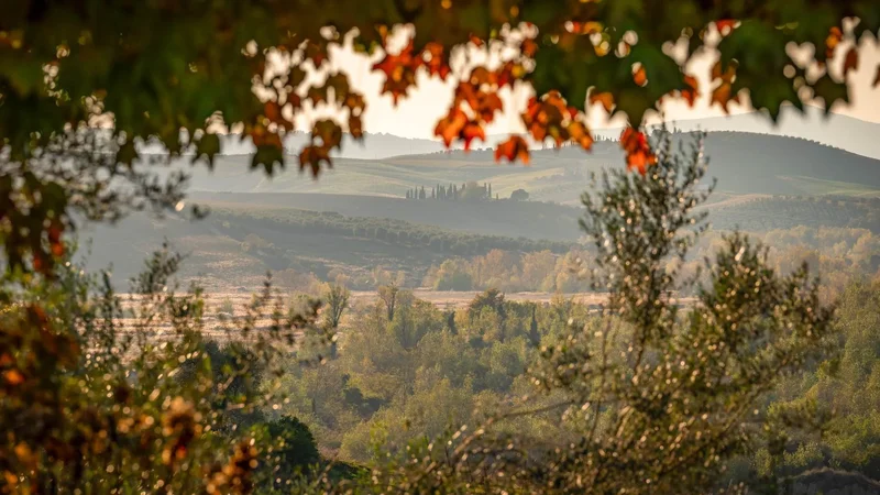 58033 Castel del Piano, Province of Grosseto, Italy, Castel del Piano, Tuscany, Italy. - Photo 50