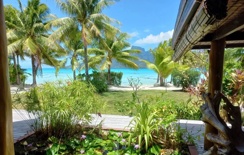 Bora-Bora, Leeward Islands, French Polynesia. - Photo 4