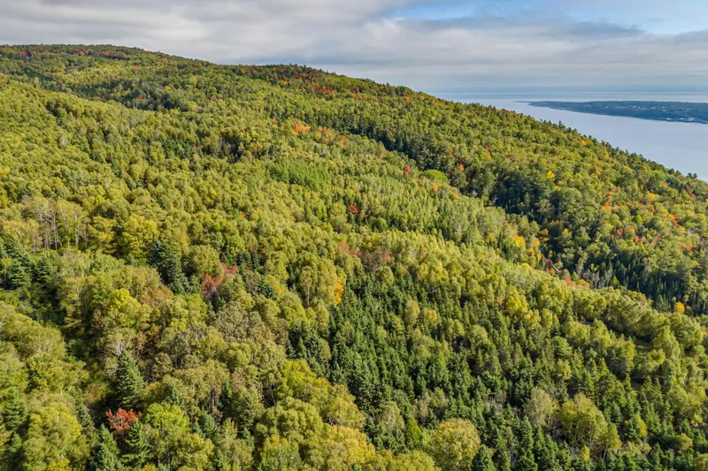 Ch. du Cap-aux-Corbeaux S., Baie-Saint-Paul, Quebec, Canada. - Photo 12