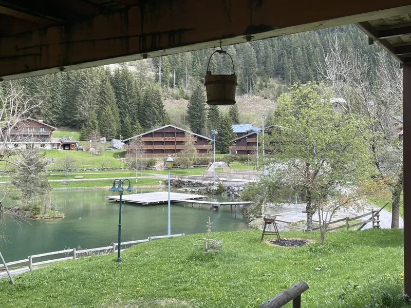 Châtel, Auvergne-Rhône-Alpes, France. - Photo 10