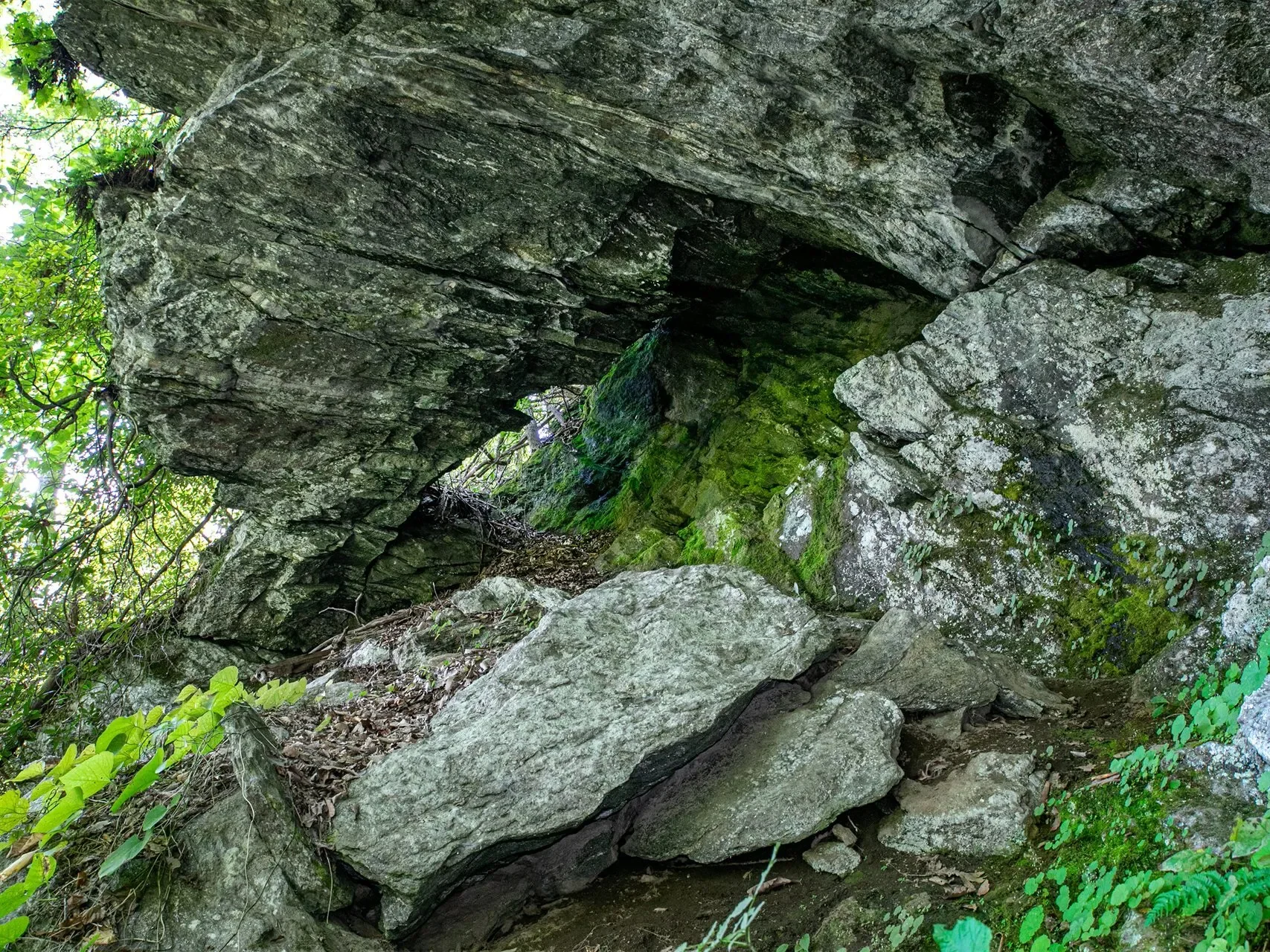 999 Robinson Creek, Glenville, NC, 28736, USA, 28736, North Carolina, United States. - Photo 18