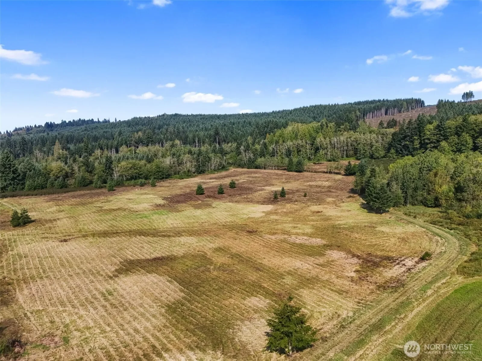 104 Bills Lane, Onalaska, WA 98570, Onalaska, Washington, United States. - Photo 5