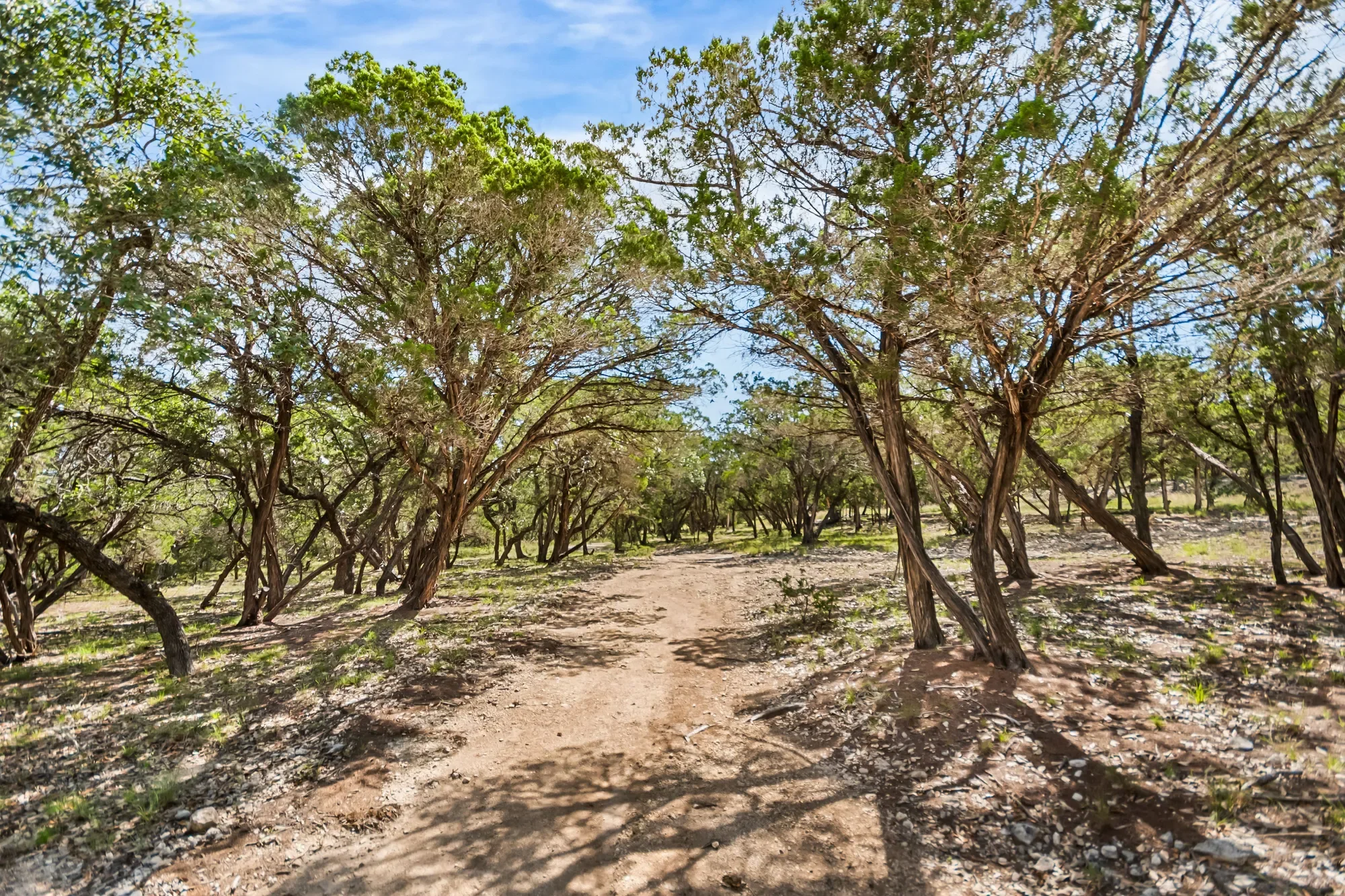 4366 Whartons Dock Road , Bandera, TX 78003, Bandera, Texas, United States. - Photo 7