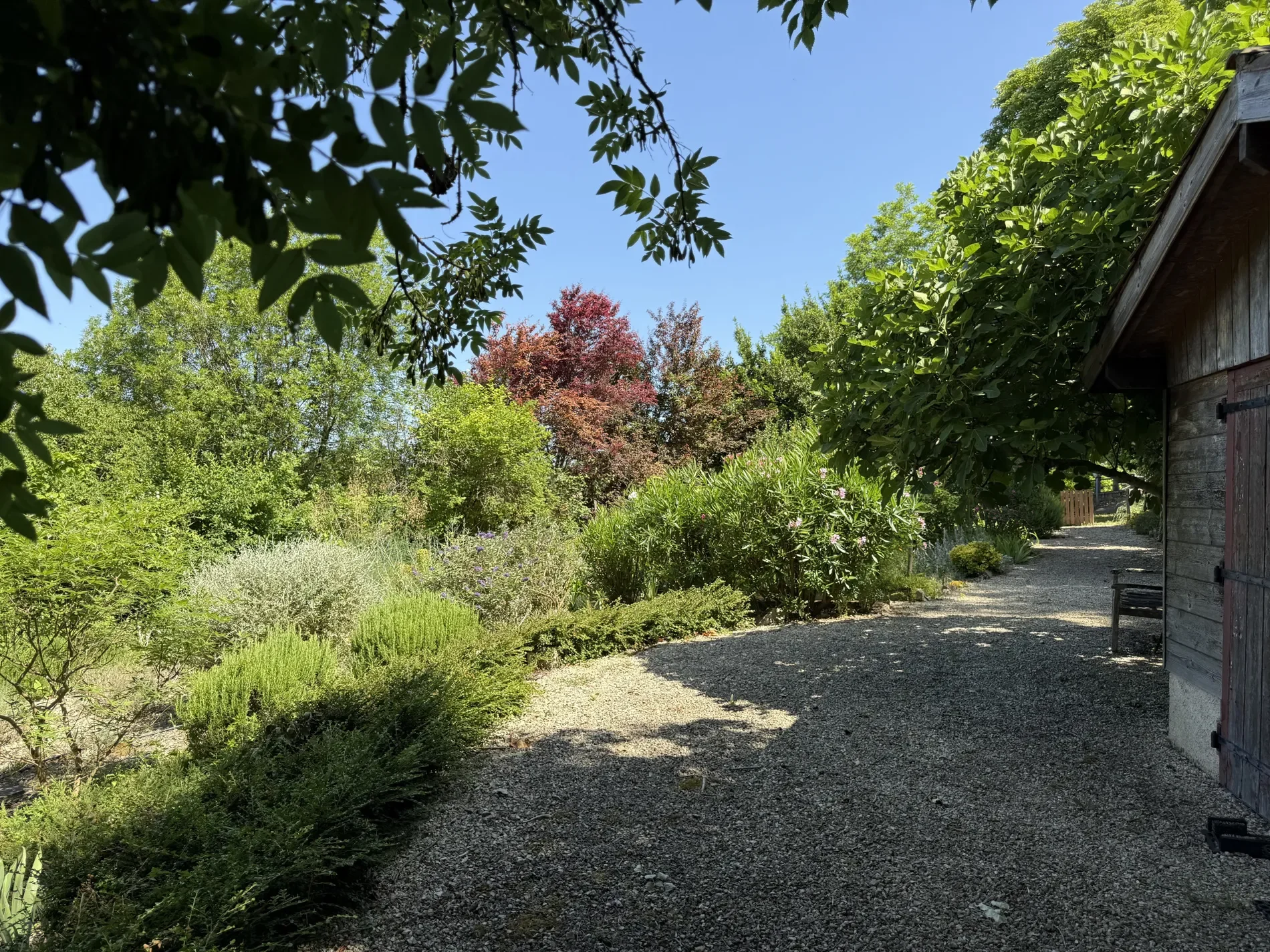 Montréal, Occitanie, France. - Photo 6