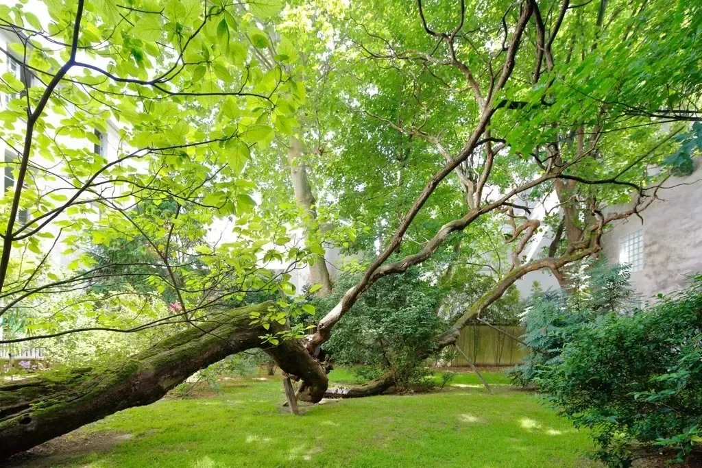 Gallery photo 11