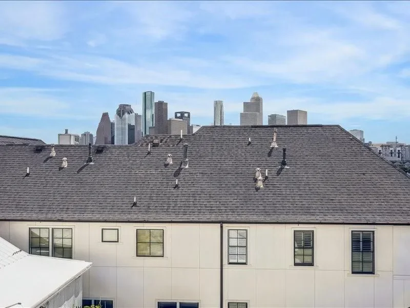 314 W Bell Street, Houston, Texas, United States. - Photo 11