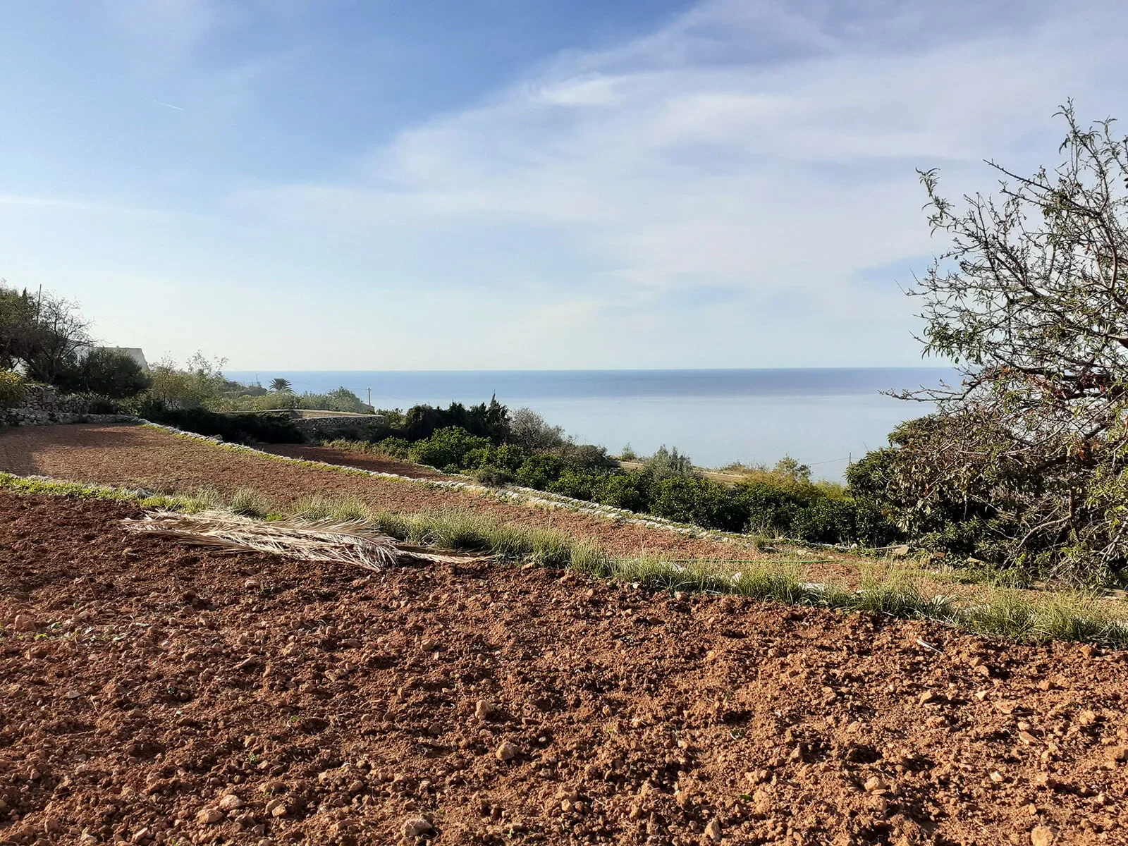 Banyalbufar, Mallorca, Banyalbufar, Banyalbufar, Balearic Islands, Spain. - Photo 15