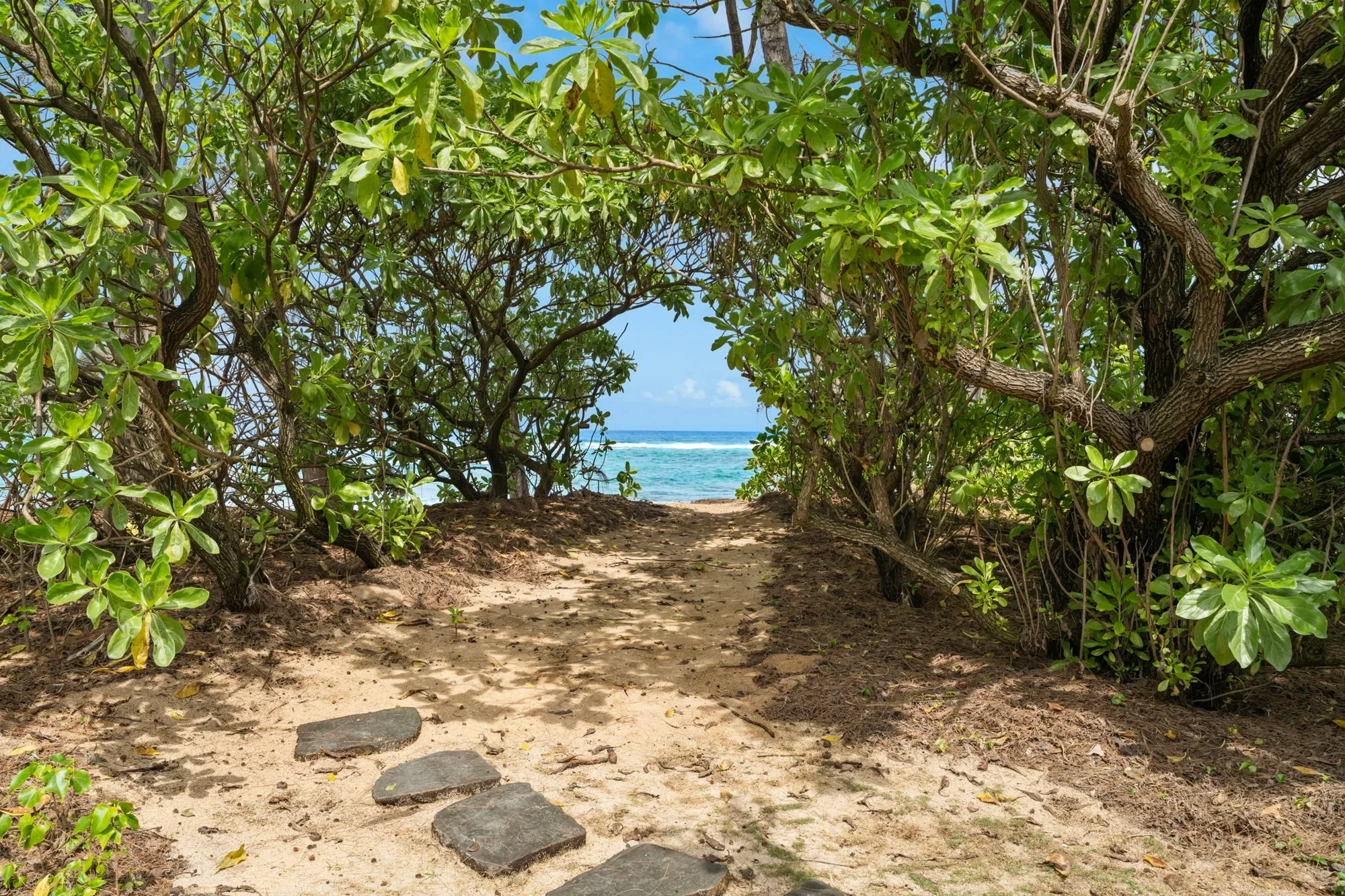 7312 ALEALEA RD, Hanalei, HI, 96722, USA, Kapaʻa, Hawaii, United States. - Photo 20