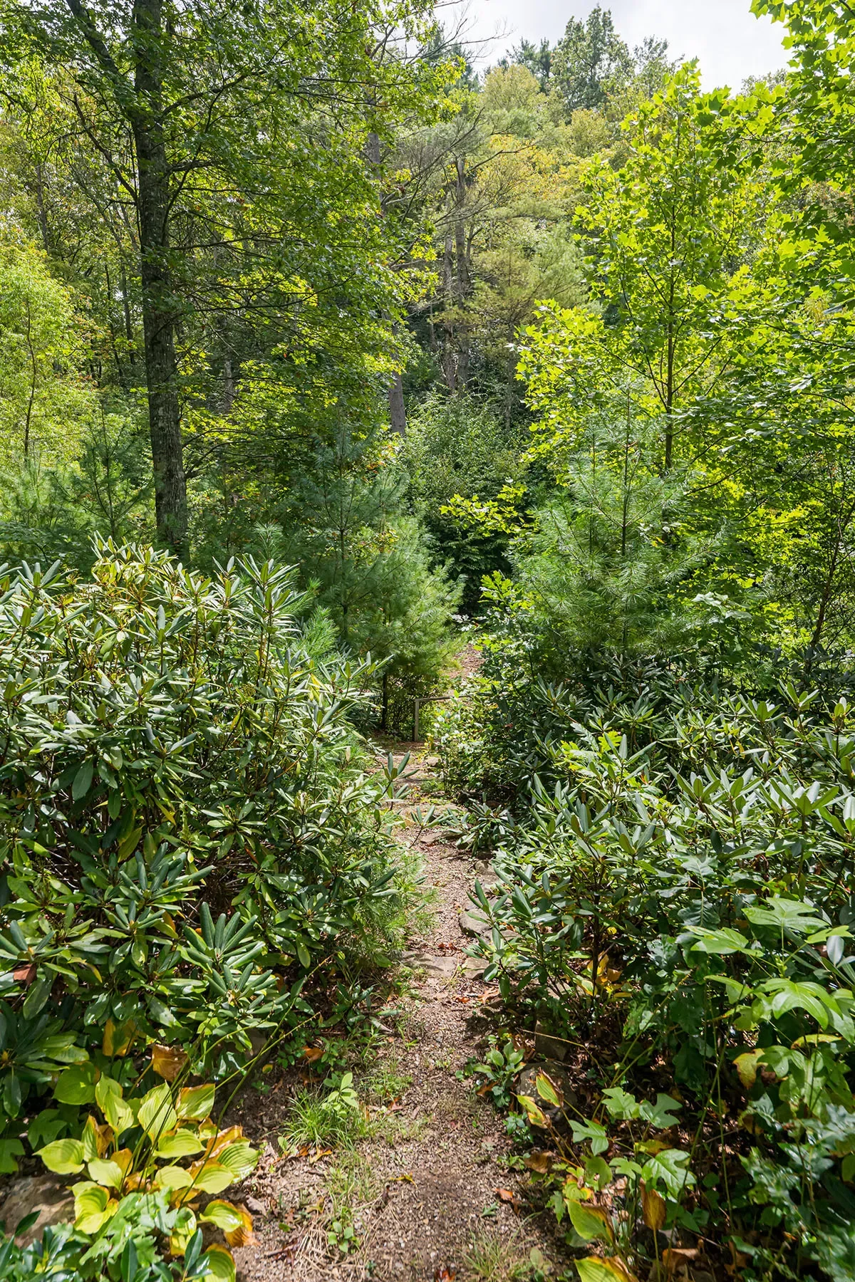 147 Dye Leaf Road, Fairview, NC 28730, Fairview, North Carolina, United States. - Photo 30