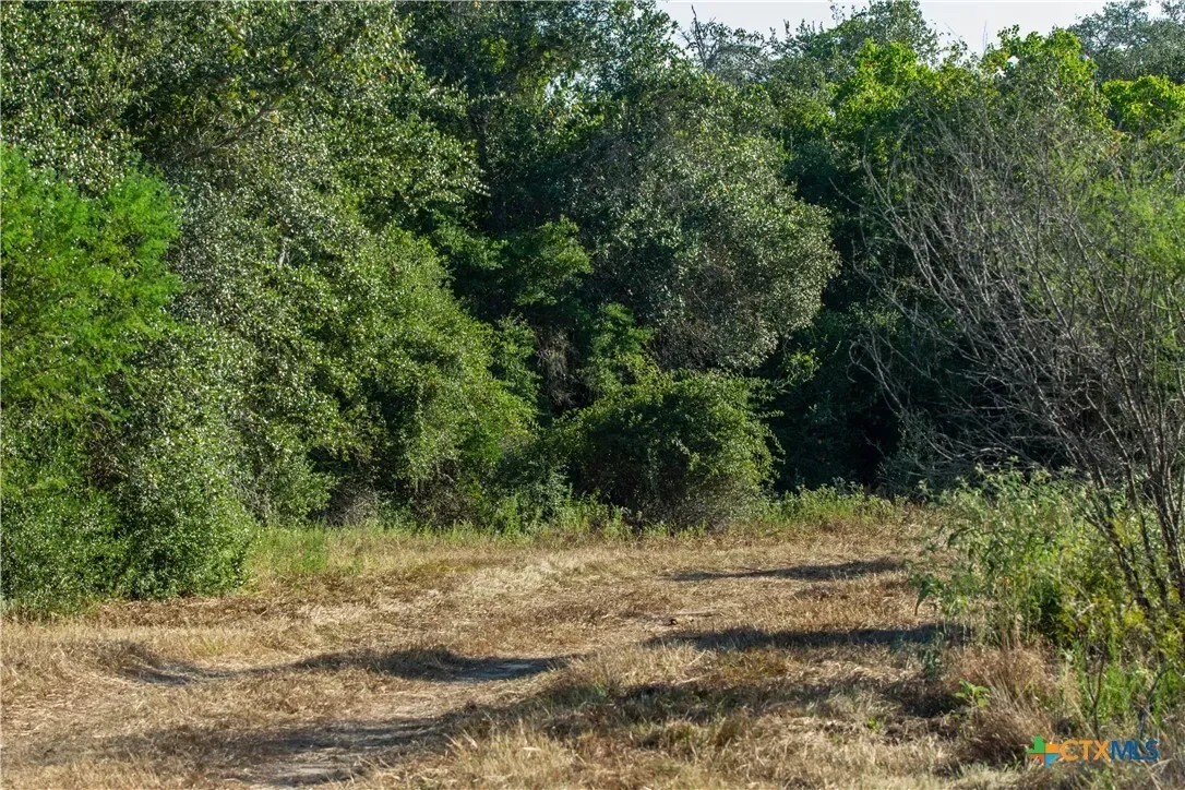 000 Stratton Road, Yoakum, TX 77995, Yoakum, Texas, United States. - Photo 40