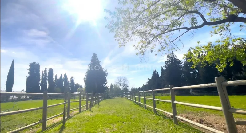 Sorgues, Provence-Alpes-Côte d'Azur, France. - Photo 4