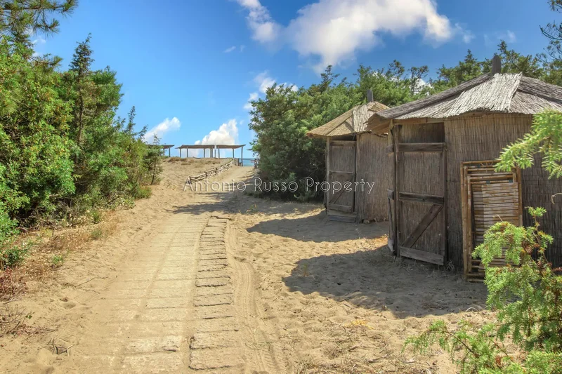 58043 Castiglione della Pescaia, Province of Grosseto, Italy, Tuscany, Italy. - Photo 25