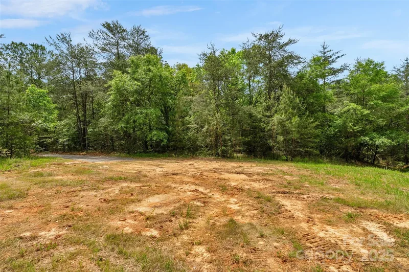 0000 Green Road, Lancaster, SC 29720, Lancaster, South Carolina, United States. - Photo 32