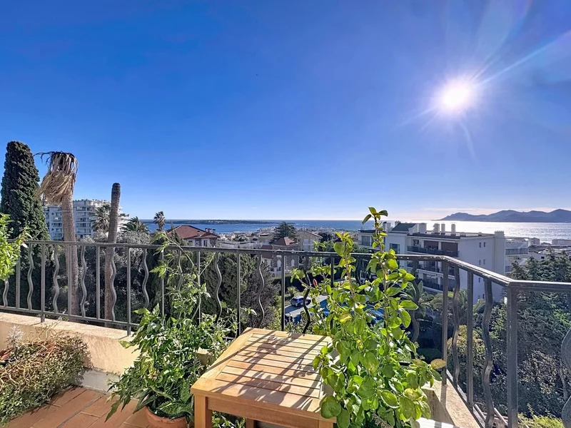 Cannes, Provence-Alpes-Côte d'Azur, France. - Photo 6