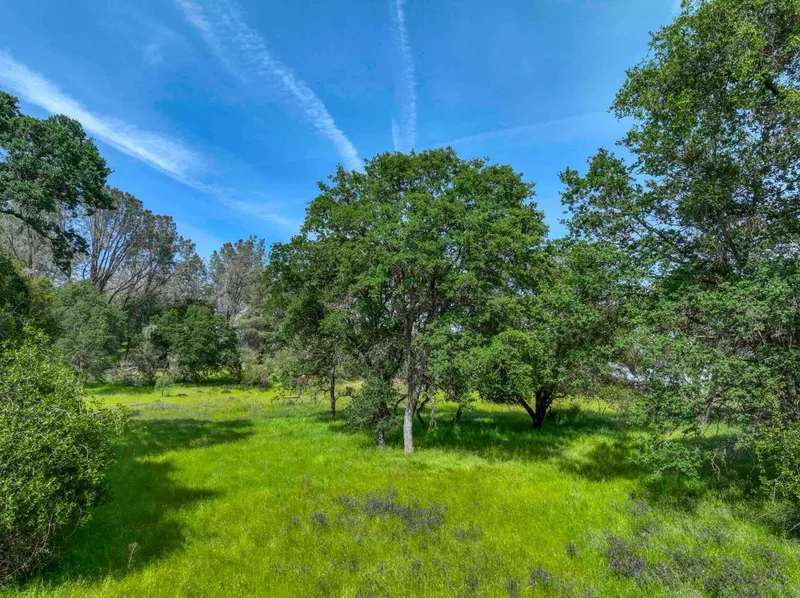 1301 Lomita Court, El Dorado Hills, California, United States. - Photo 6