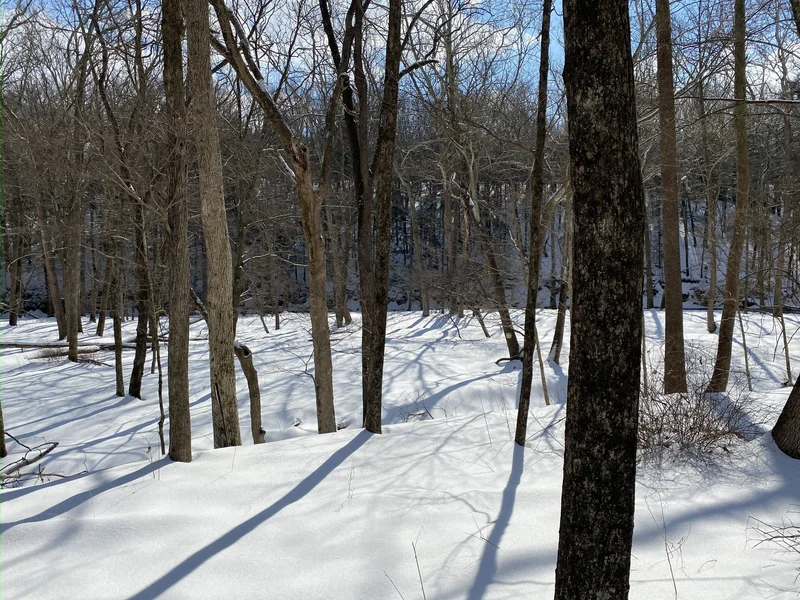 13 Lily Valley Road , Erwinna, PA 18920, 18920, Pennsylvania, United States. - Photo 18
