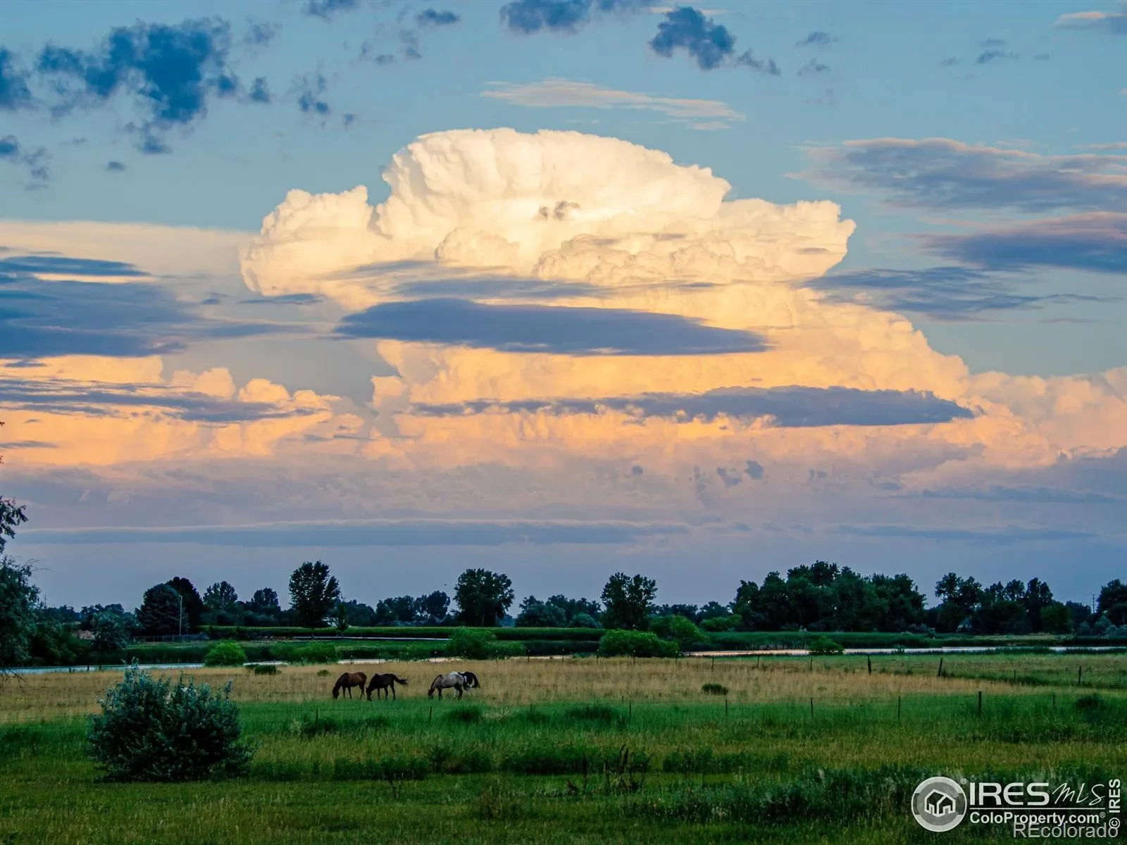 5513 E Highway 14, Fort Collins, Colorado, United States. - Photo 33