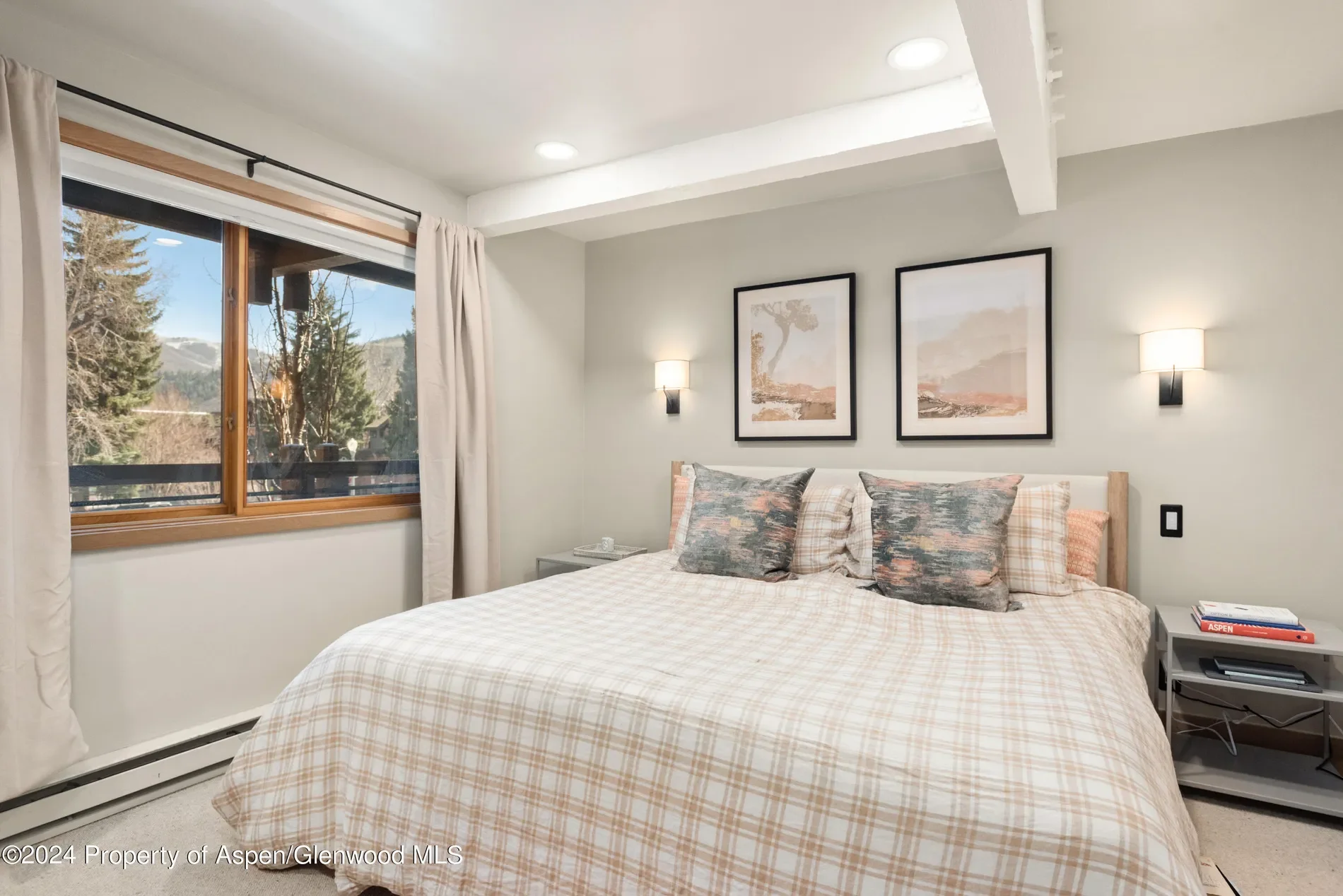 131 E Durant Avenue, Aspen, Colorado, United States. - Photo 12