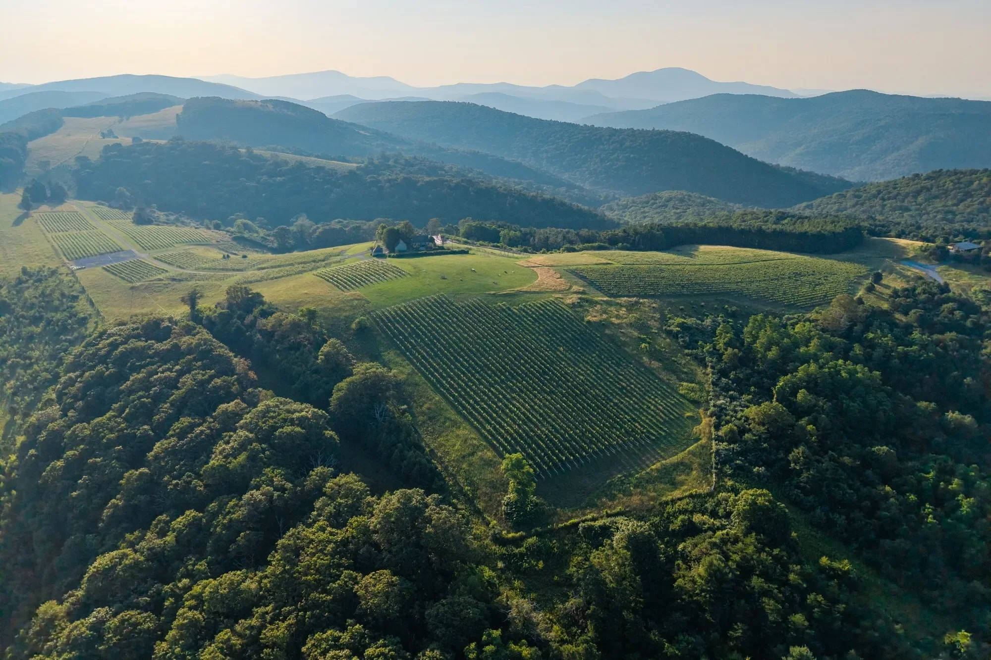 24981 Blue Ridge Parkway, Vesuvius, VA 22032, Vesuvius, Virginia, United States. - Photo 59