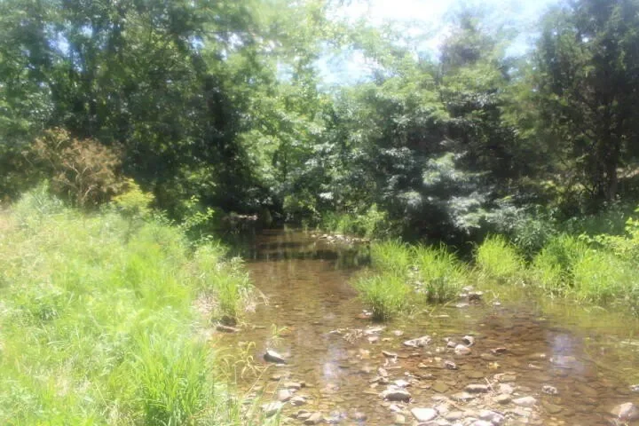 3176 S 170th Road, Polk, MO 65727, Bolivar, Missouri, United States. - Photo 43