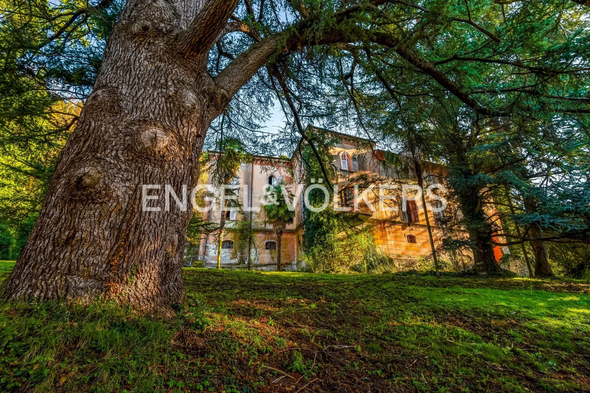 Villa La Pescigola, a residence with timeless charm in the hills of Fivizzano, Tuscany
