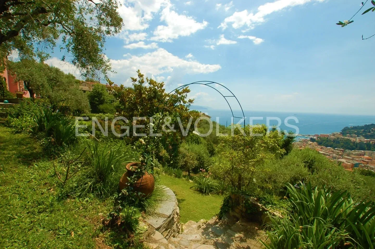 Gallery photo 12