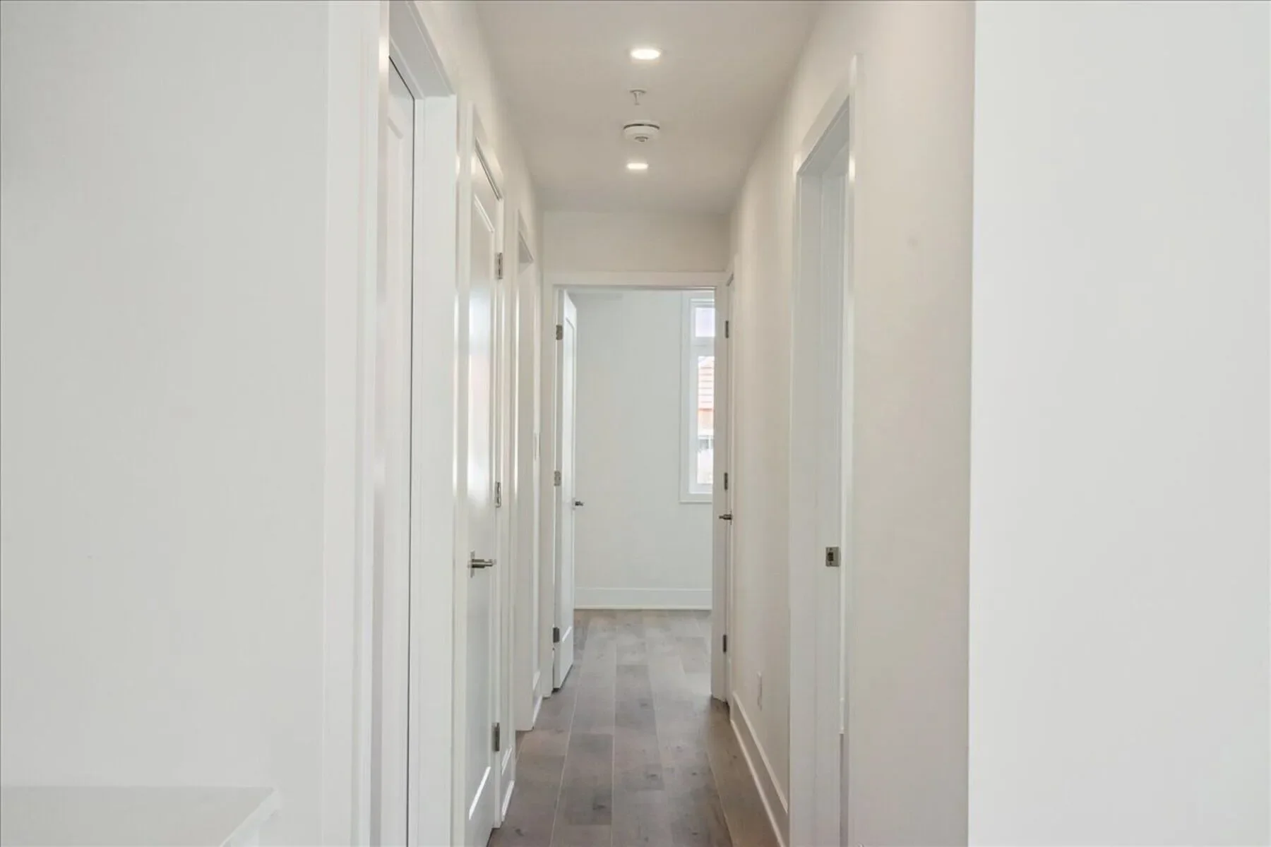 Gallery photo 2