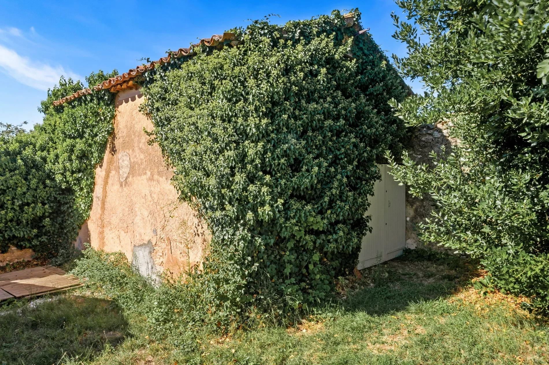 Exterior photo 11