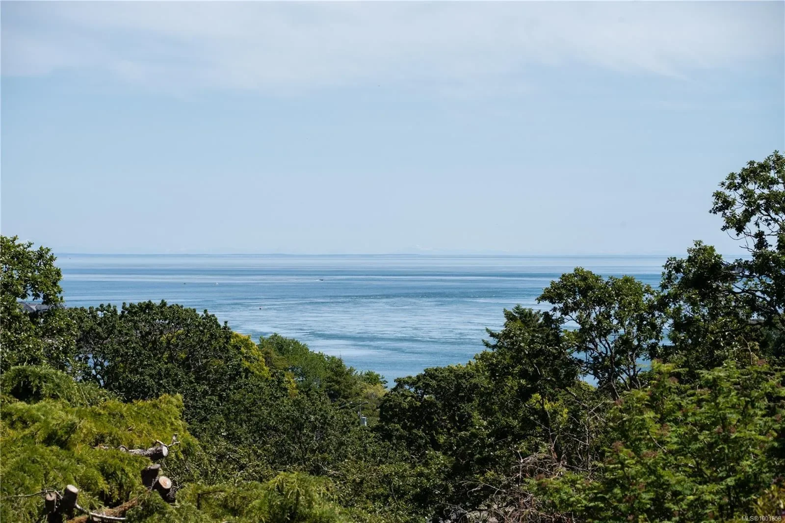 305 Denison Rd, Oak Bay, British Columbia, Canada. - Photo 45