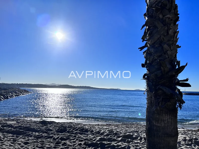Bandol, Provence-Alpes-Côte d'Azur, France. - Photo 1