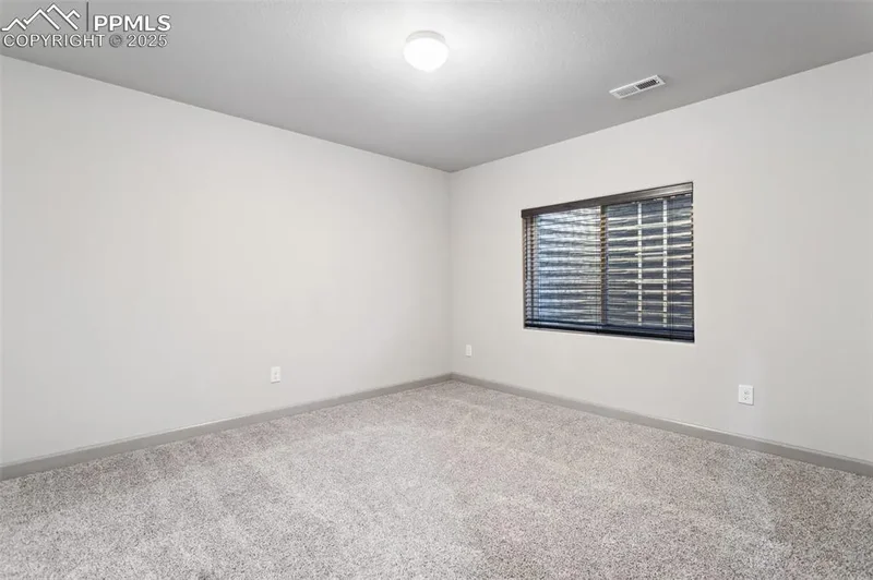 7393 Alpine Daisy Drive, Colorado Springs, CO 80925, Colorado Springs, Colorado, United States. - Photo 43