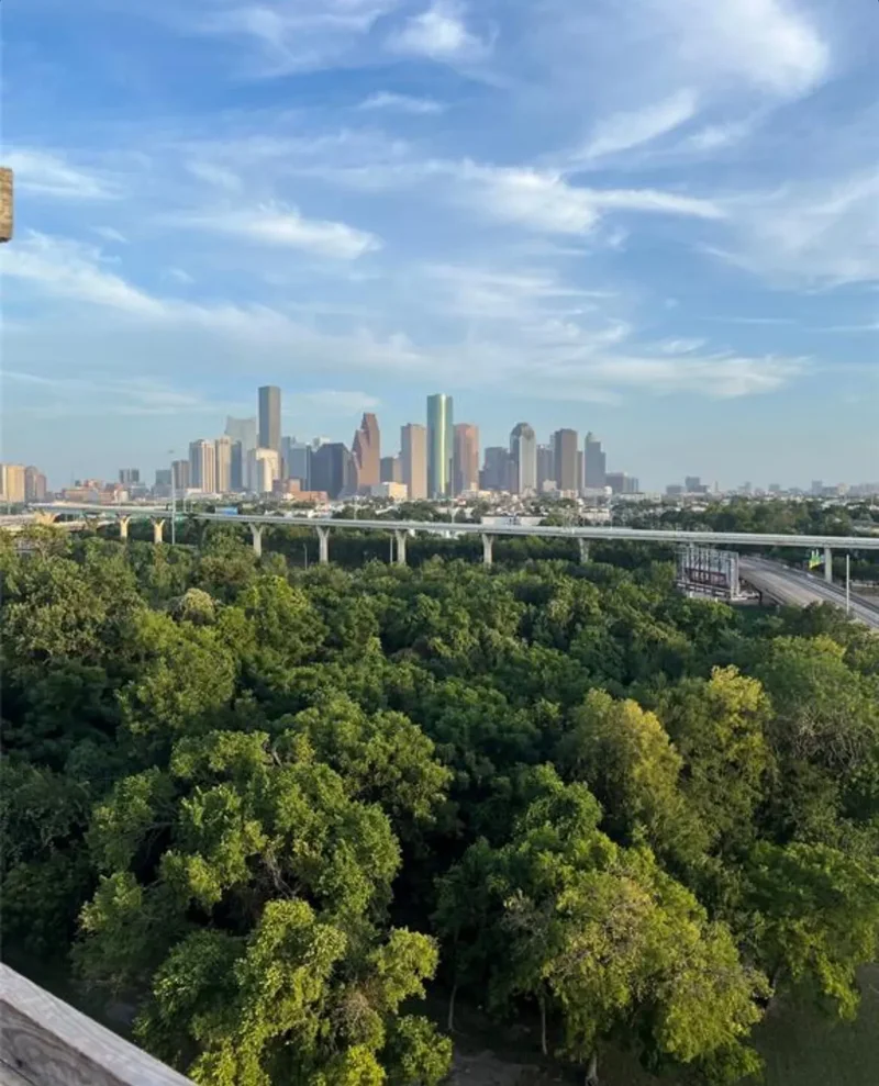 2520 Houston Avenue #701, Houston, TX 77009, Houston, Texas, United States. - Photo 4