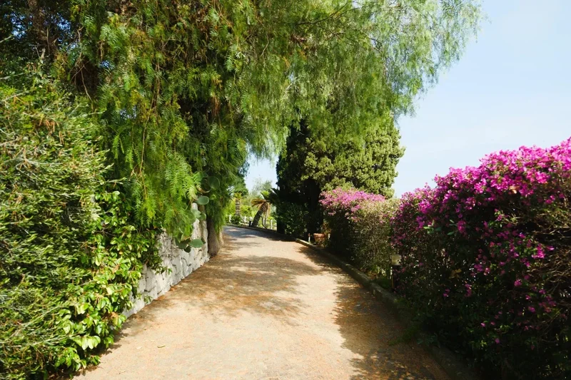 Bussana Vecchia, Liguria, Italy. - Photo 12