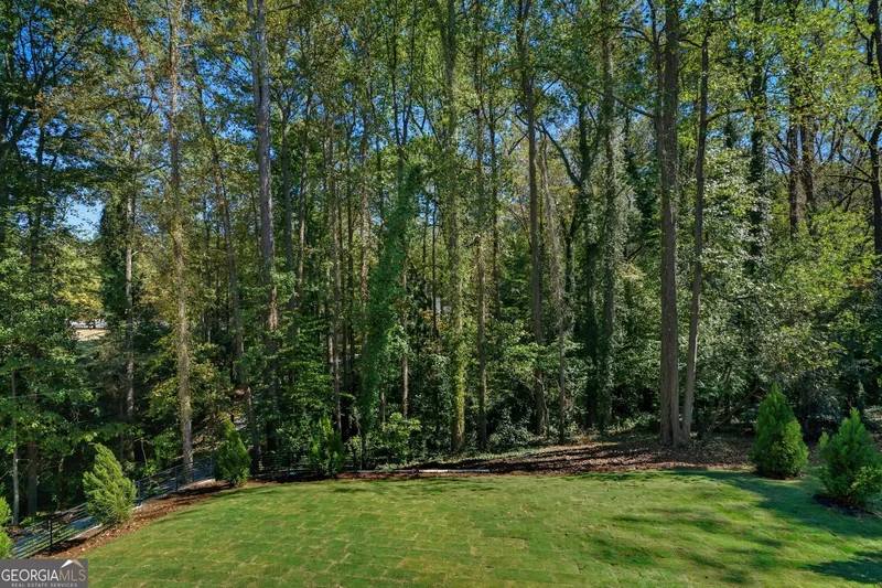 Atlanta, Georgia, United States. - Photo 29