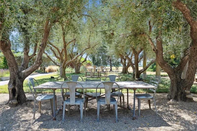 3487 Alexander Valley Road, Geyserville, California, United States. - Photo 11