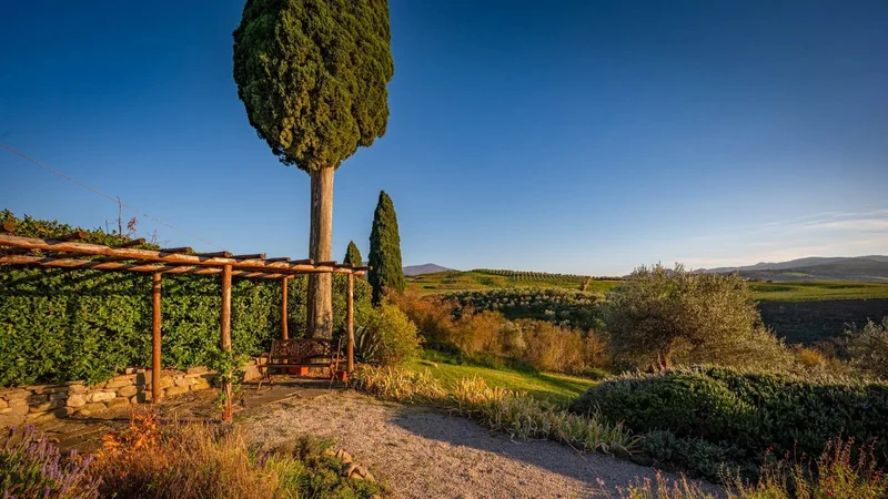 58033 Castel del Piano, Province of Grosseto, Italy, Castel del Piano, Tuscany, Italy. - Photo 22