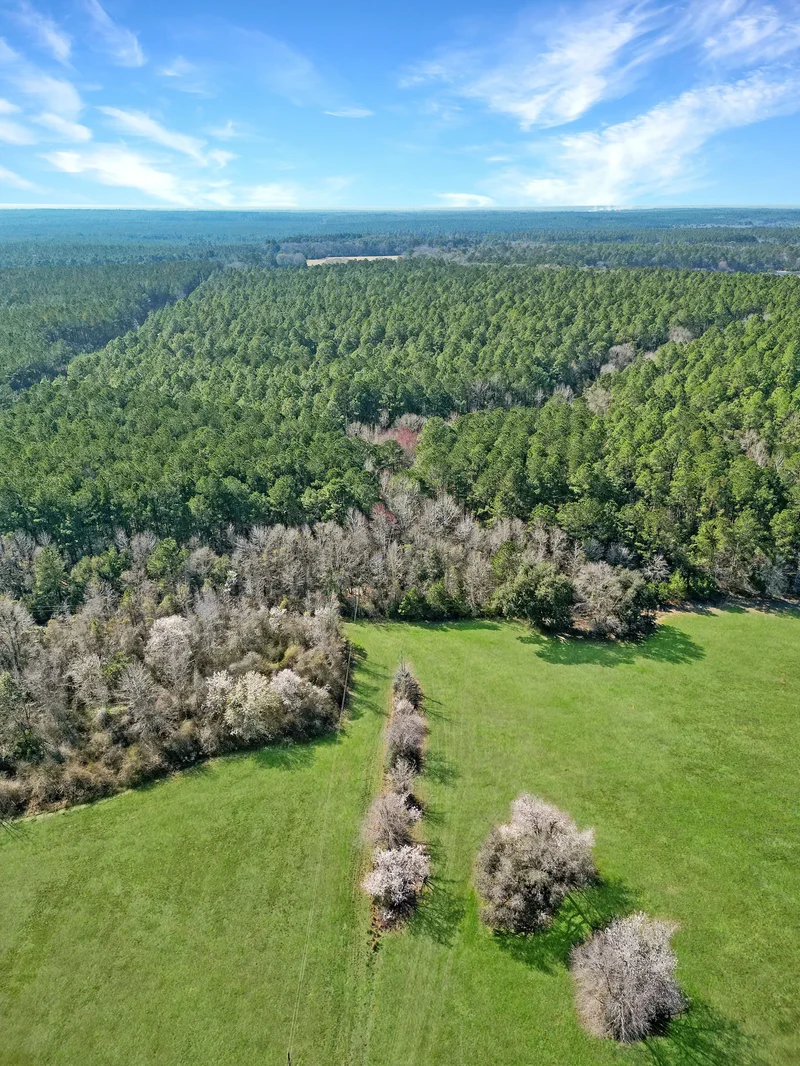 4343 East Plympton Road , Laurel Hill, FL 32567, Laurel Hill, Florida, United States. - Photo 40