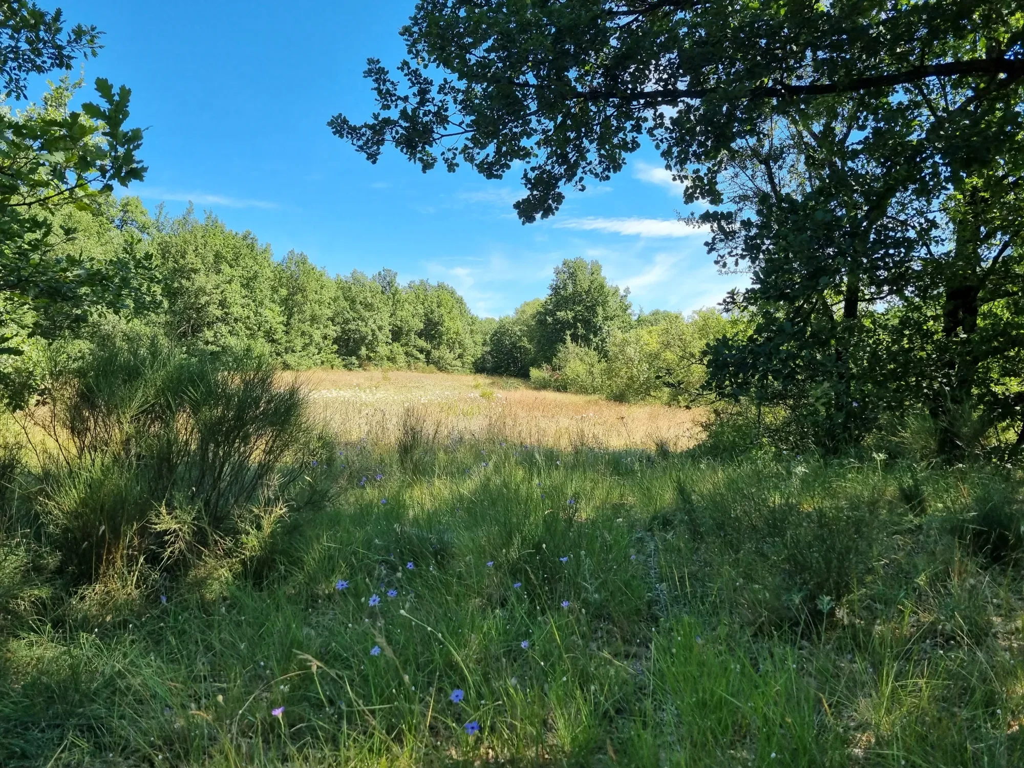 Embrun, Ontario, Canada. - Photo 18