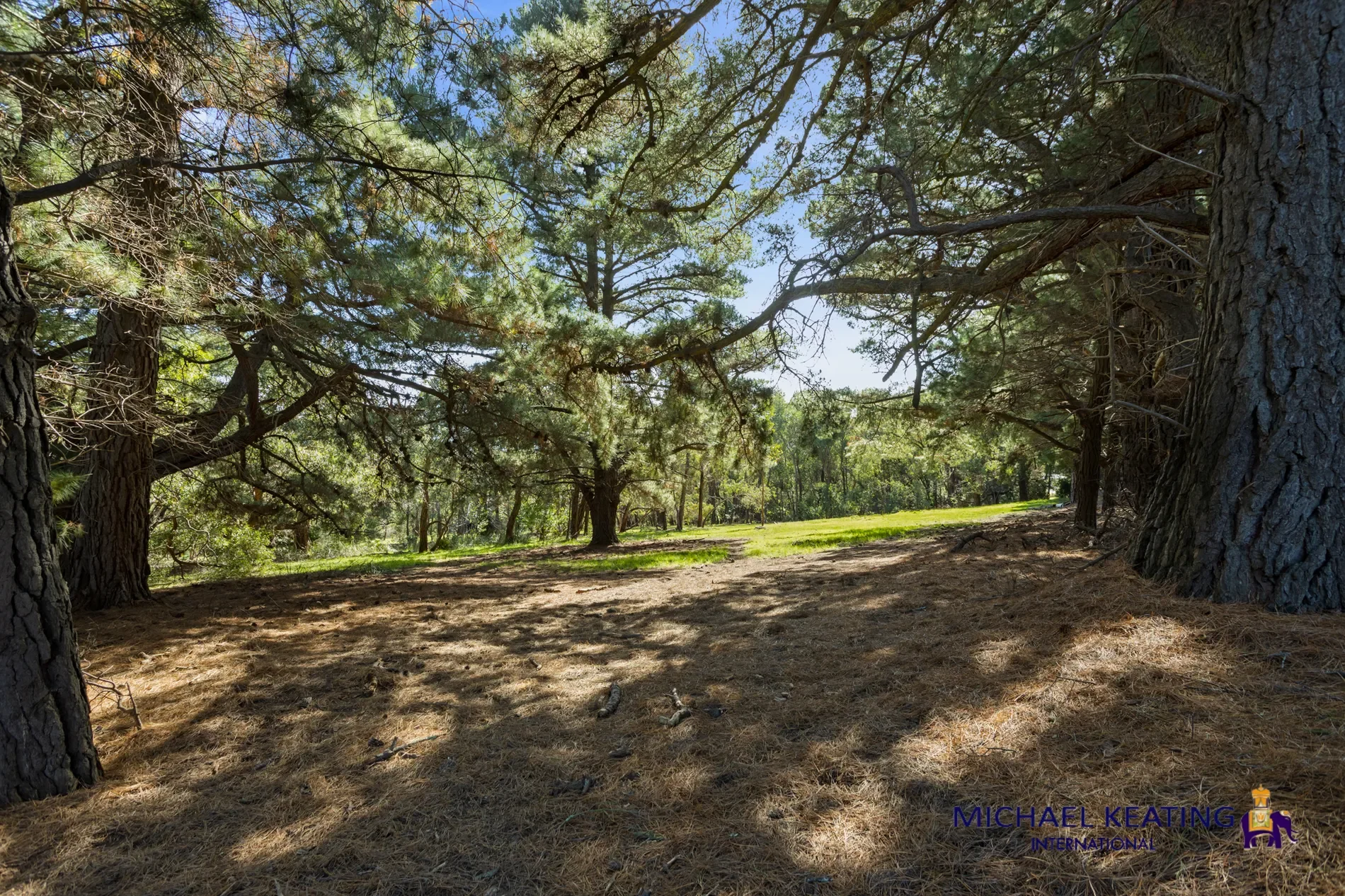 Gallery photo 10