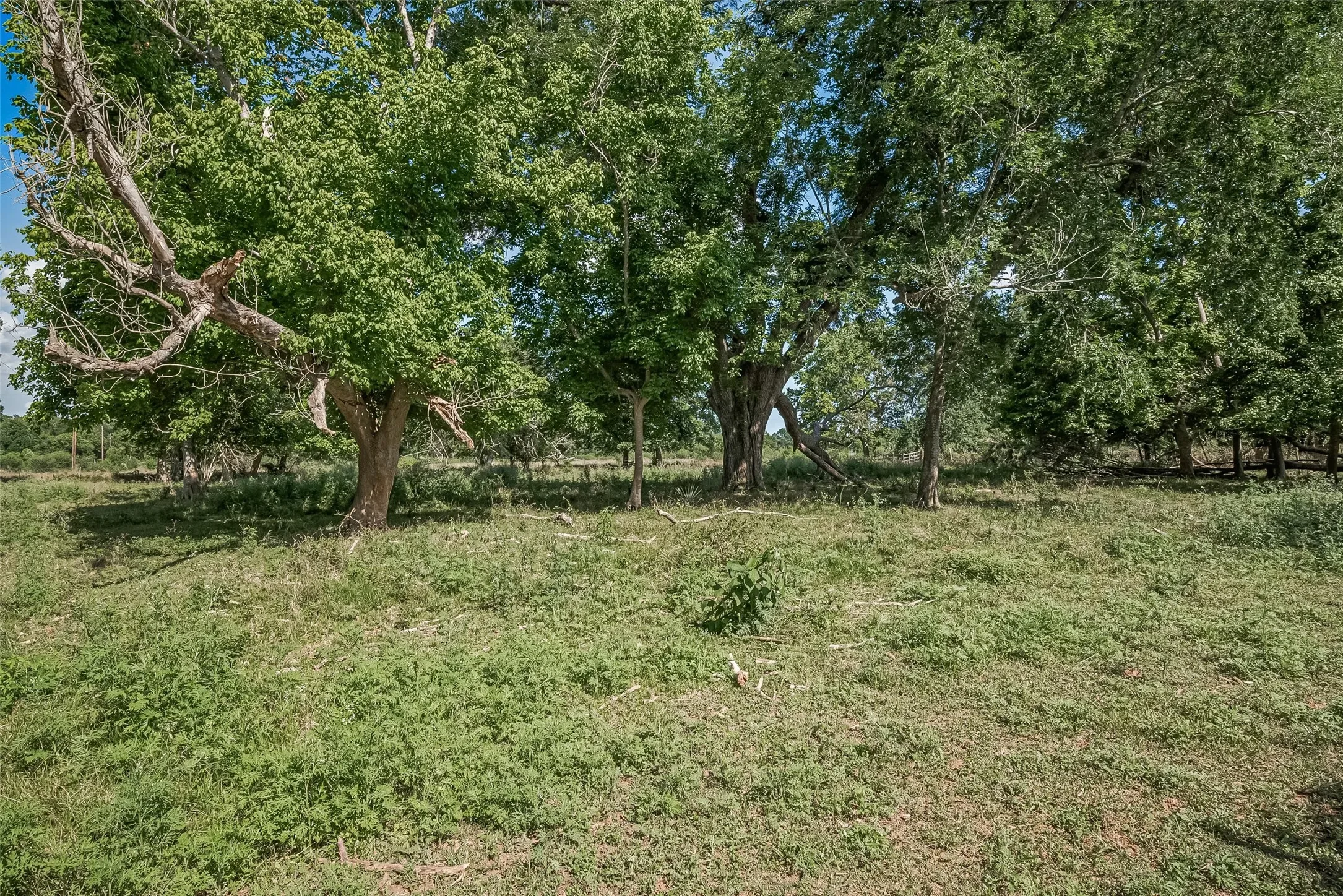 2511 Hartwell Road, Brookshire, TX 77423, Brookshire, Texas, United States. - Photo 17