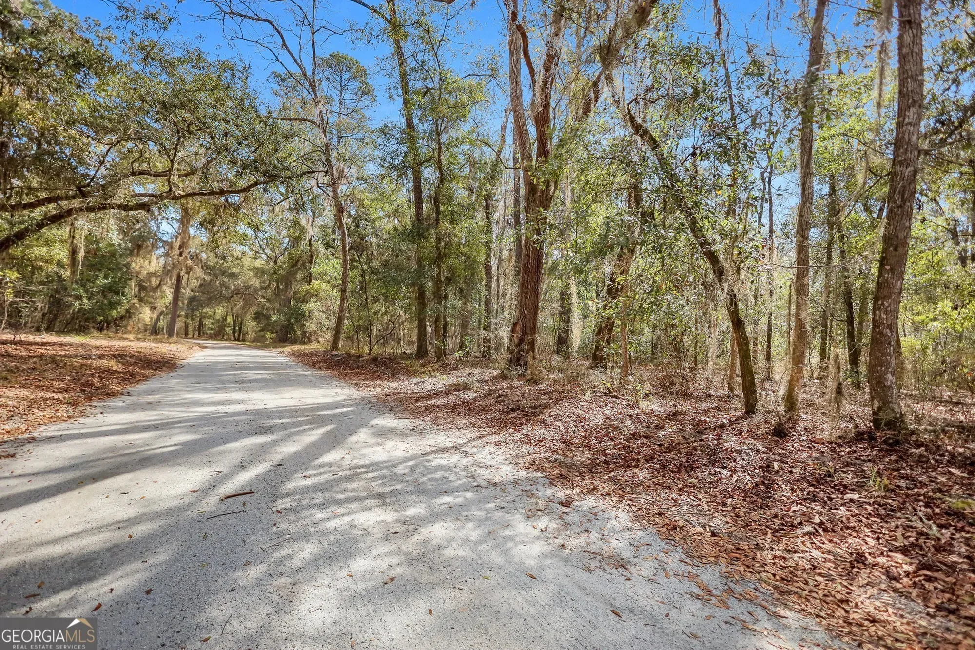 0 Drizzle Bluff Road, Woodbine, GA 31569, Woodbine, Georgia, United States. - Photo 5