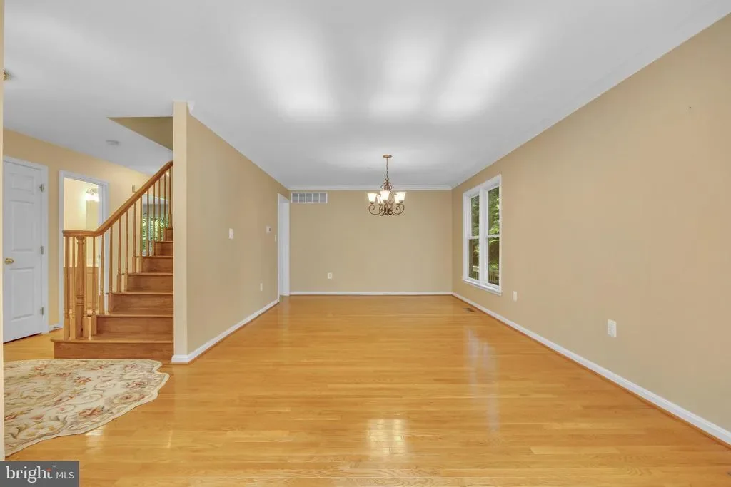 Gallery photo 5