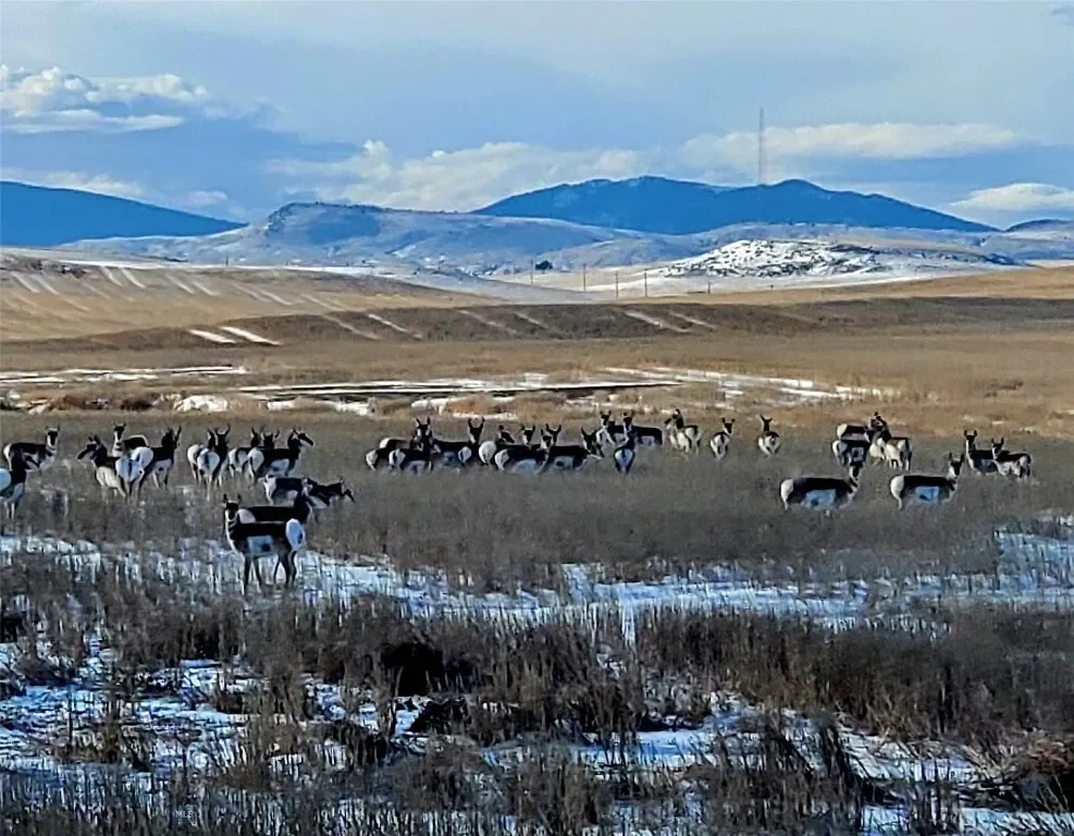 109 Wild Rose Loop, Three Forks, Montana, United States. - Photo 16