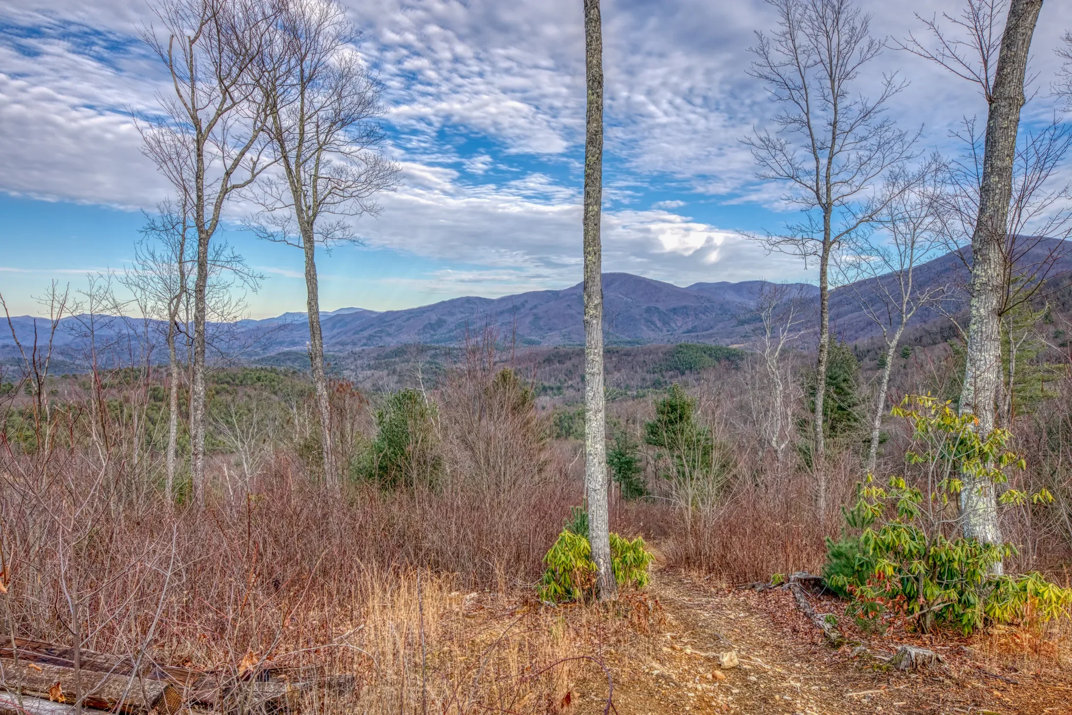1898 Kennedy Way , Del Rio, TN 37727, Del Rio, Tennessee, United States. - Photo 45