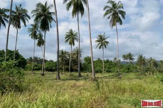 Surat Thani,, Koh Samui, Surat Thani, Thailand. - Photo 4