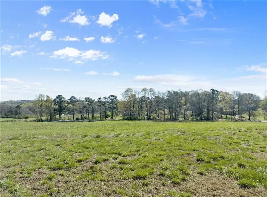 95 FARMERS ACADEMY Road, Carnesville, Georgia, United States. - Photo 28